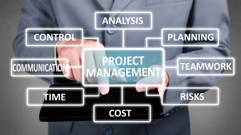 Mastering Project Management The Value of a Project Management Professional (PMP) Certification